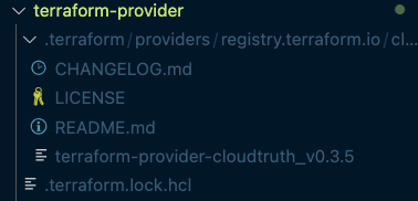 CloudTruth Terraform Provider