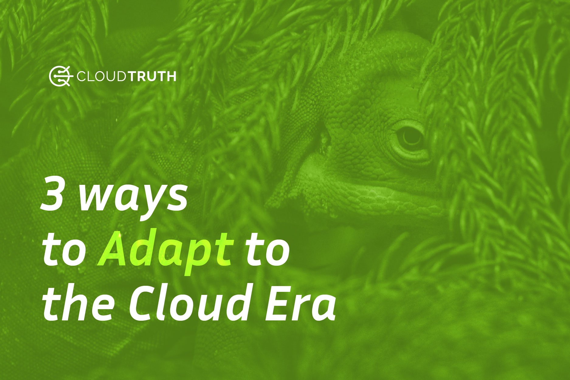 3 Ways Organizations Need to Adapt to Survive the Cloud Systems Era
